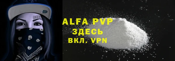ECSTASY Вяземский