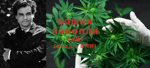 ECSTASY Вяземский