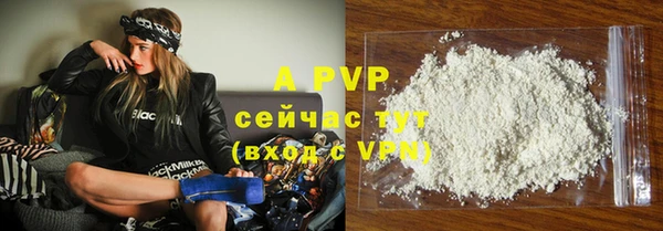 ECSTASY Вяземский