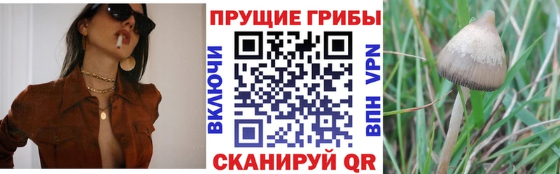 Галлюциногенные грибы Magic Shrooms  Горбатов 